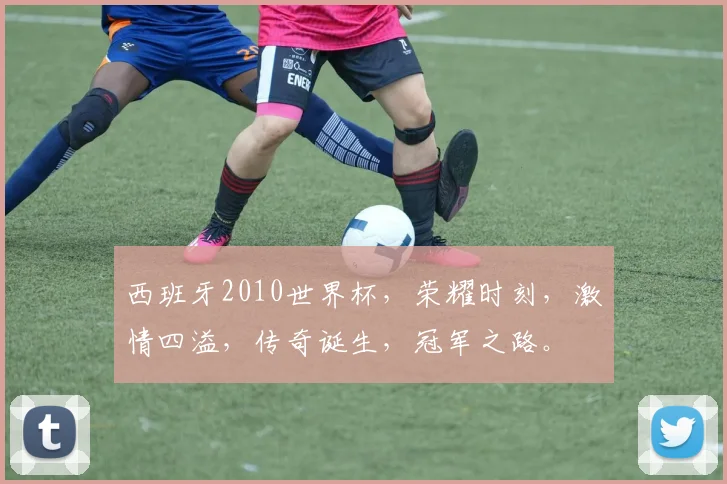 西班牙2010世界杯，荣耀时刻，激情四溢，传奇诞生，冠军之路。
