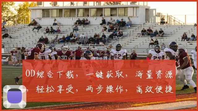 OD综合下载，一键获取，海量资源，轻松享受，两步操作，高效便捷，必看教程