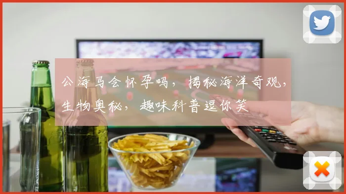 公海马会怀孕吗，揭秘海洋奇观，生物奥秘，趣味科普逗你笑