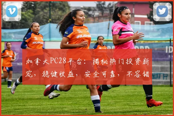 加拿大PC28平台：揭秘热门投资新宠，稳健收益，安全可靠，不容错过